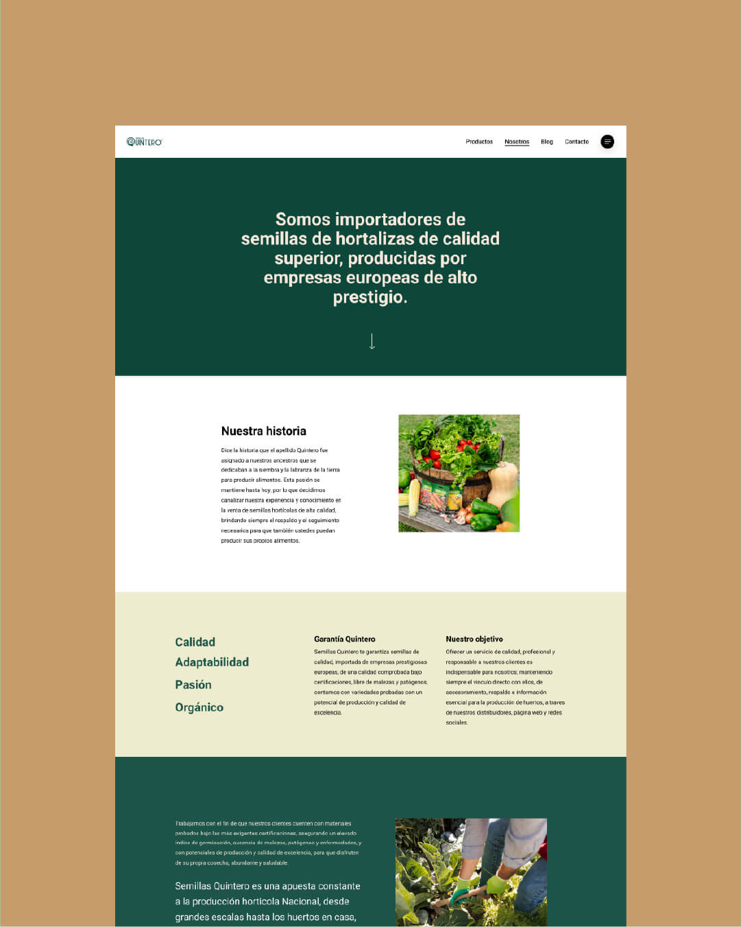 Mesa de trabajo 1 copia 6